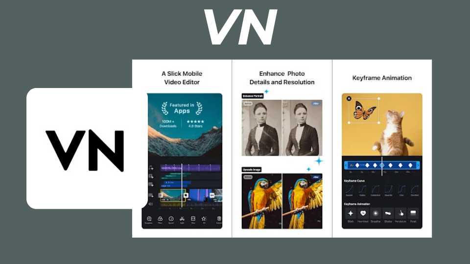 VN
